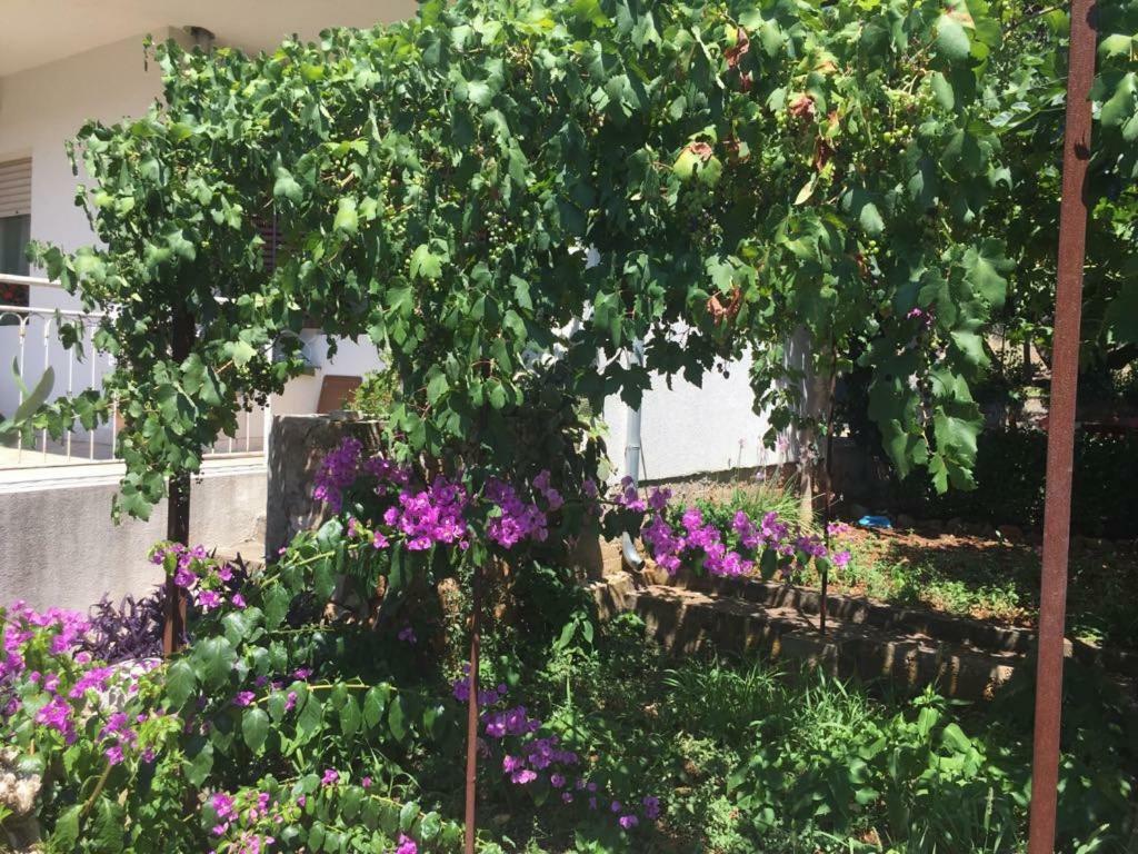 Relax Garden Διαμέρισμα Stari Grad  Εξωτερικό φωτογραφία